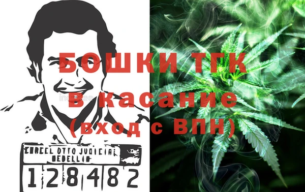 шишки Богородицк